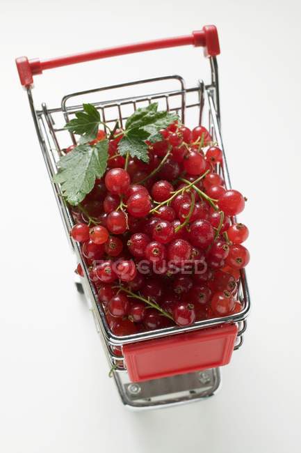 Grosellas rojas frescas recogidas - foto de stock