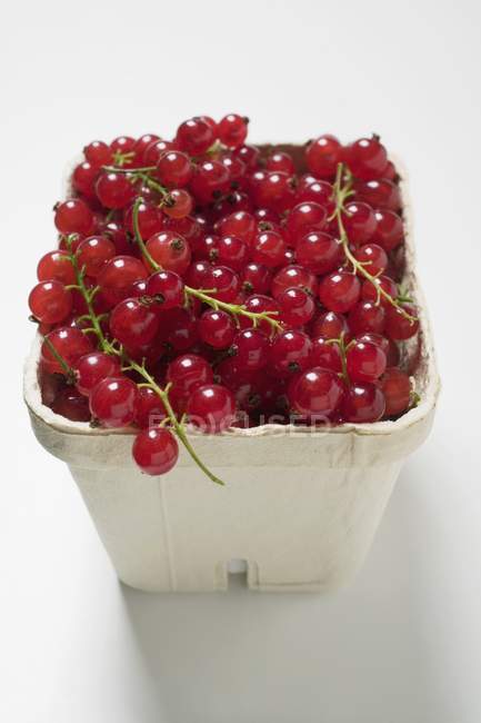 Fresh picked redcurrants — Stock Photo