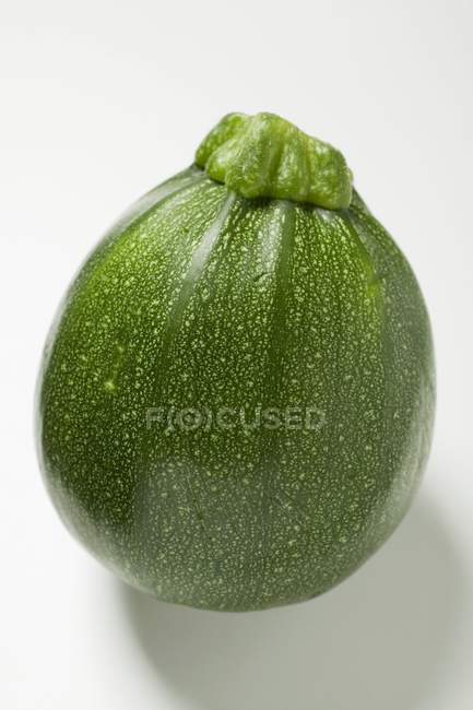 Calabacín redondo verde - foto de stock