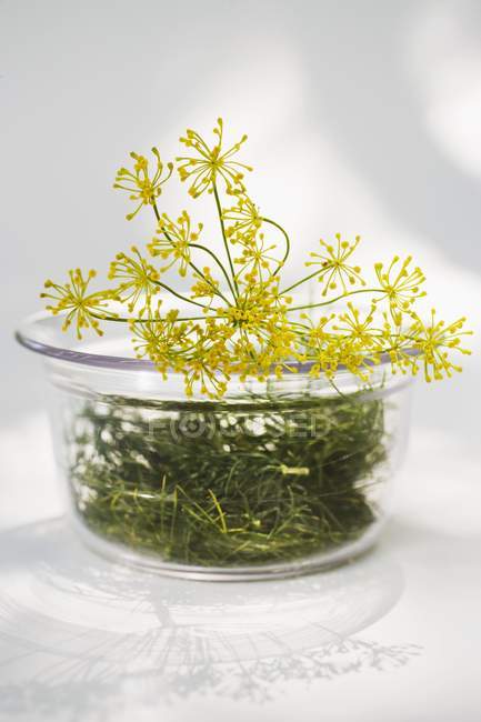 Aneto e aneto fiori in ciotola di vetro — Foto stock