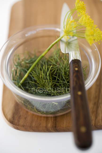 Dill in glass bowl — Stock Photo