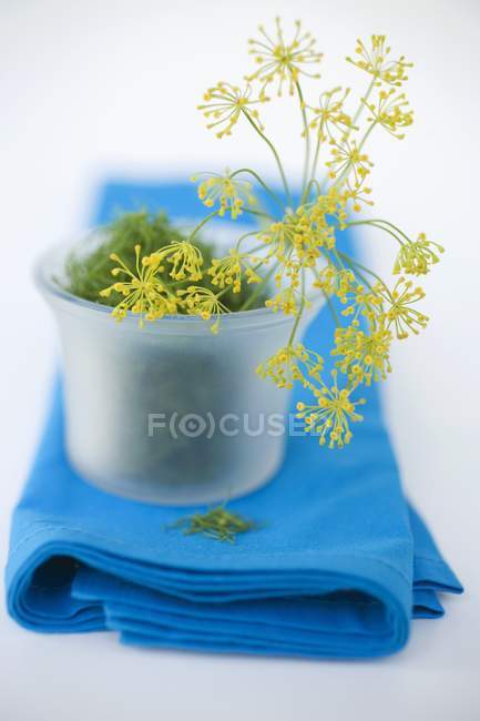 Dill and dill flowers in bowl — Stock Photo