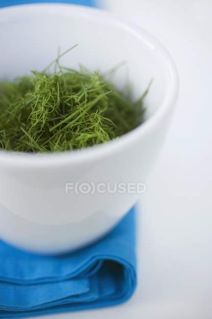 Chopped dill in white bowl — Stock Photo