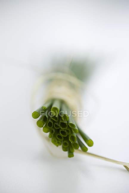 Bouquet de ciboulette fraîche — Photo de stock
