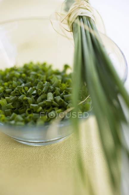 Bunch and chopped Fresh chives — Stock Photo