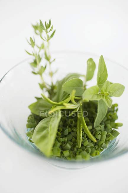 Hierbas frescas en tazón de vidrio - foto de stock