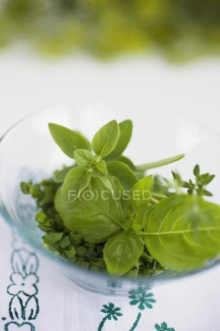 Hierbas frescas en tazón de vidrio - foto de stock