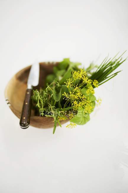 Разнообразные травы в деревянной чаше — стоковое фото