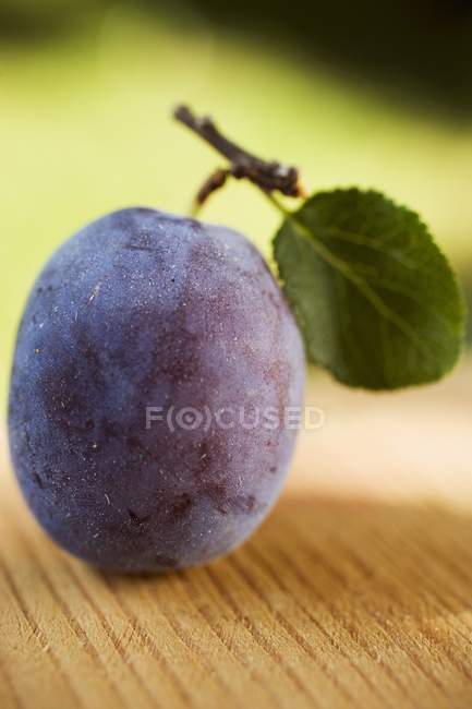 Plum with stalk and leaf — Stock Photo