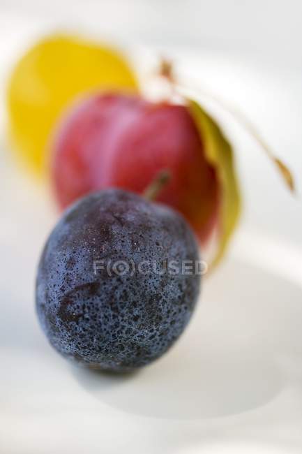Black and yellow plums — Stock Photo