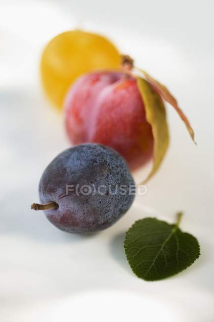 Black and yellow plums — Stock Photo
