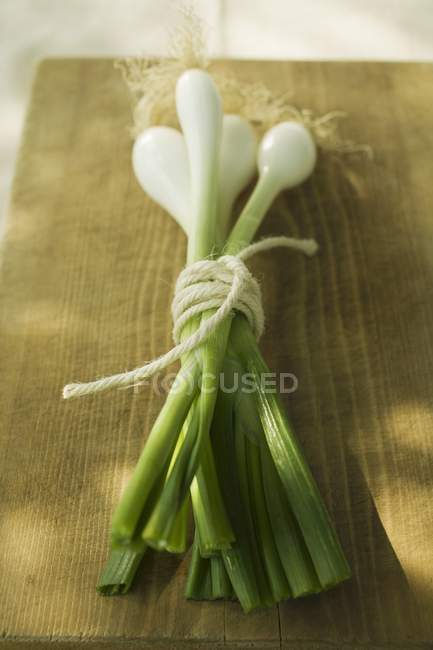 Bouquet d'oignons de printemps — Photo de stock