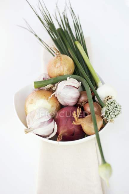 Chives and garlic chives — Stock Photo