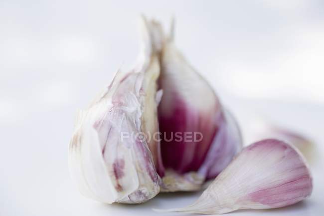 Lampadina di aglio e chiodi di garofano — Foto stock