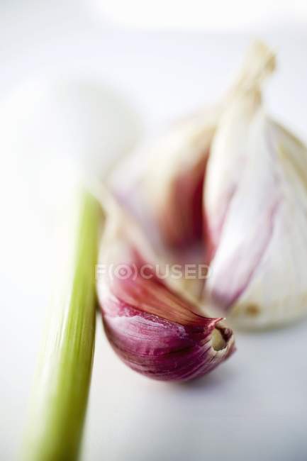 Garlic and spring onion — Stock Photo