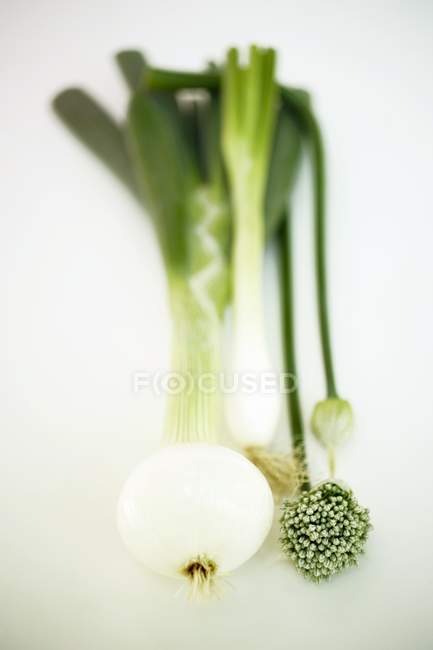 Spring onions and garlic chives — Stock Photo