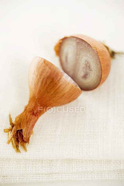 Shallot cutted in halves — Stock Photo