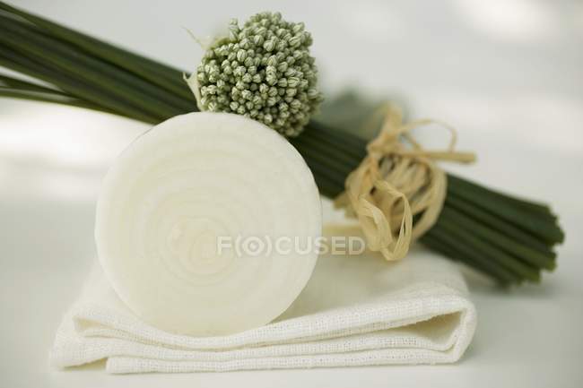 Chives and garlic chives — Stock Photo