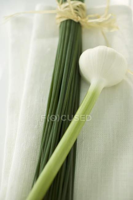 Aglio fresco ed erba cipollina — Foto stock