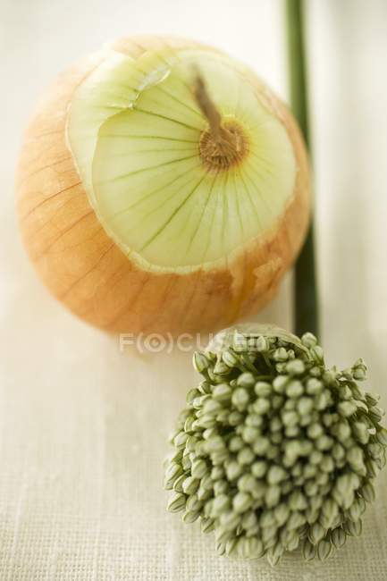 Onion and garlic chive — Stock Photo