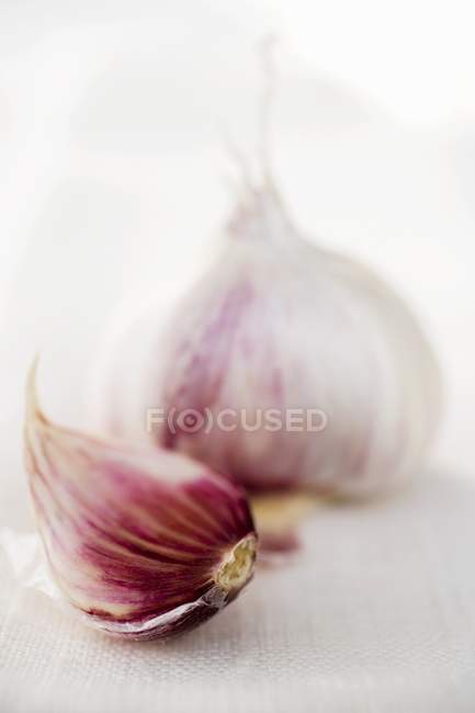 Garlic bulb and clove — Stock Photo