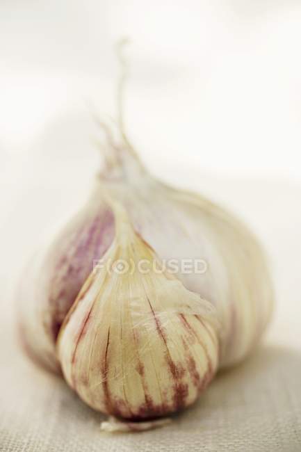 Lampadina all'aglio con chiodo di garofano — Foto stock
