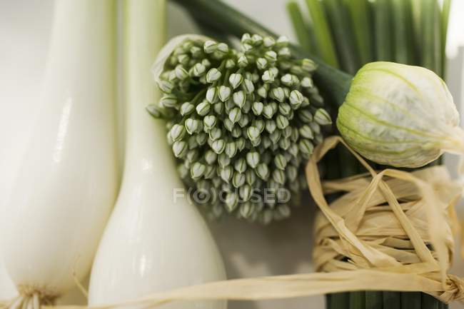 Spring onions and garlic chives — Stock Photo