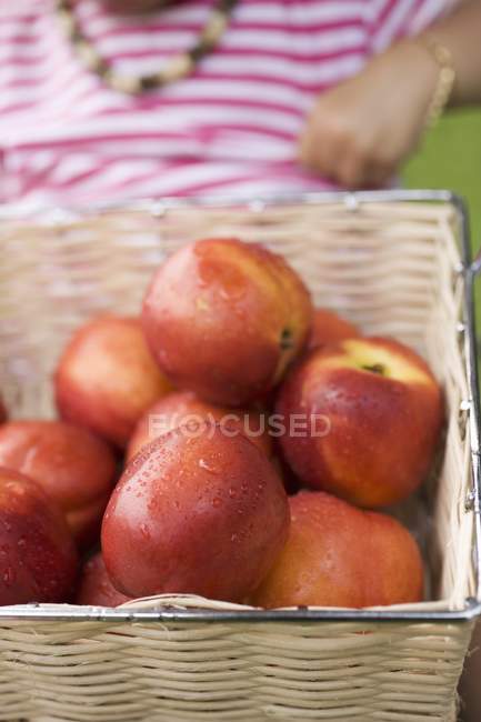 Nectarinas frescas en cesta - foto de stock