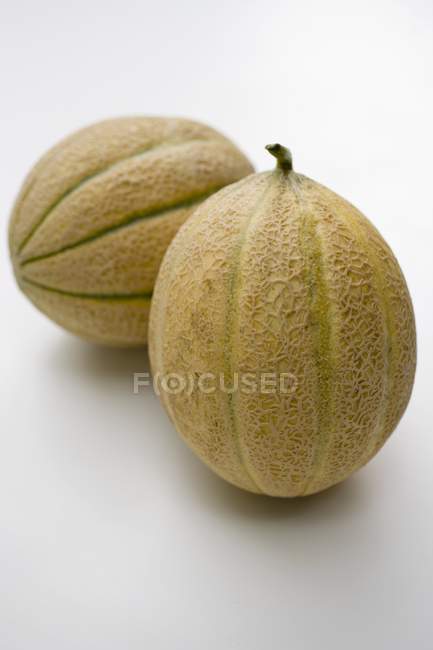 Fresh cantaloupe melons — Stock Photo