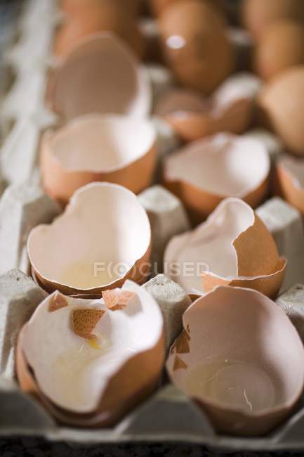 Cascas de ovos em caixa de papelão — Fotografia de Stock