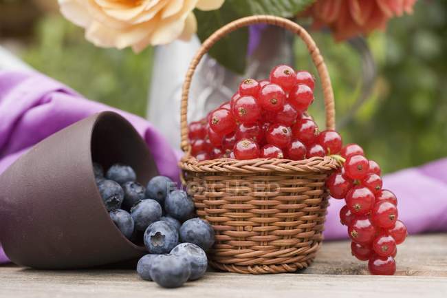 Fresh picked blueberries and redcurrants — Stock Photo