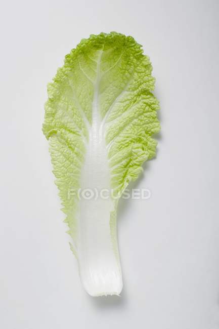 Chinese cabbage leaf — Stock Photo