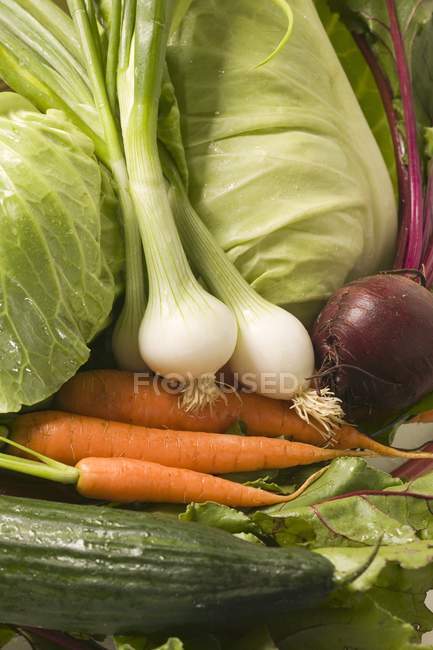Zanahorias con cebolletas - foto de stock