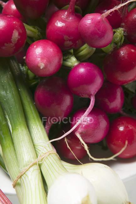 Fresh washed radishes  and spring onions — Stock Photo