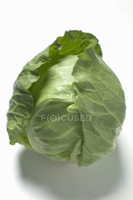 Fresh green cabbage — Stock Photo