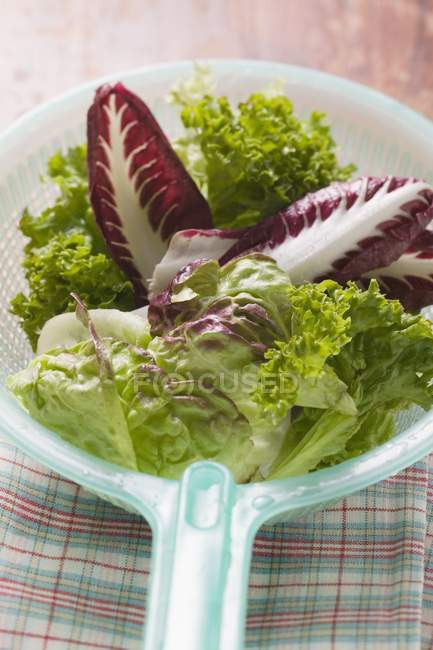 Assorted salad leaves in plastic strainer — Stock Photo