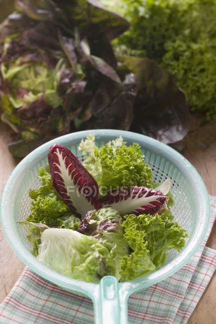 Assorted salad leaves in plastic strainer over towel on table — Stock Photo