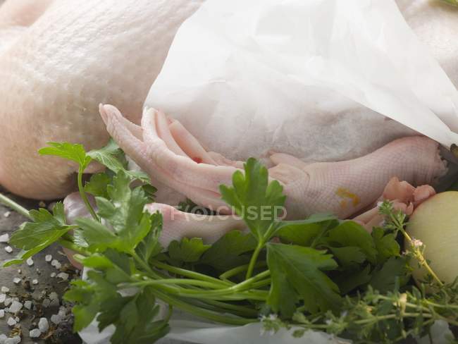 Fresh goose with herbs — Stock Photo