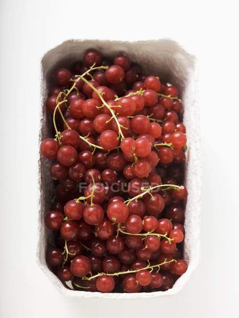 Groseilles rouges fraîches cueillies — Photo de stock