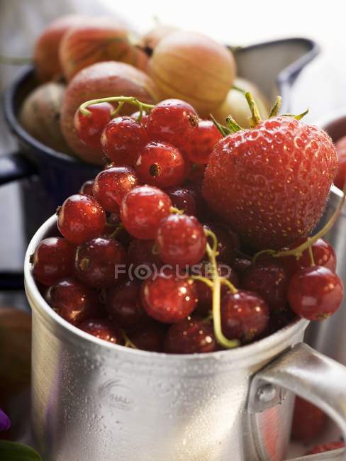 Fresh redcurrant in metal cup — Stock Photo