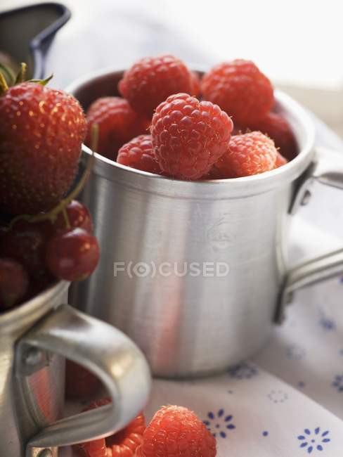 Frische reife Himbeeren — Stockfoto