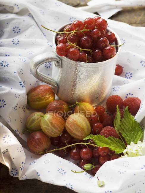 Летние ягоды с металлической чашкой — стоковое фото