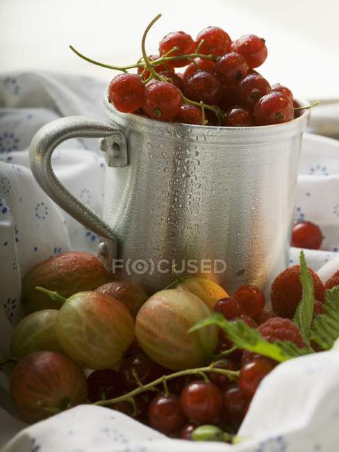 Літні ягоди з металевою чашкою — стокове фото