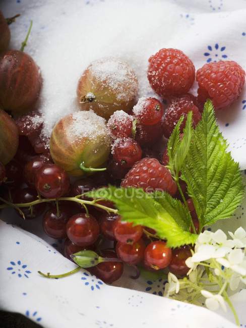 Свежие летние ягоды с сахаром — стоковое фото
