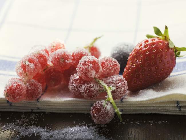Sugared fresh redcurrant — Stock Photo