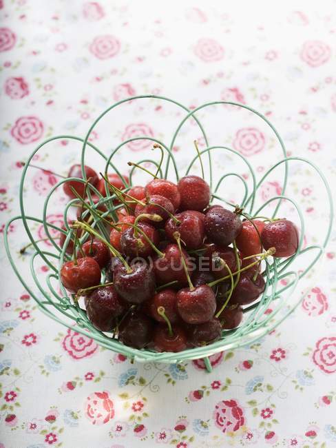 Cherries with drops of water — Stock Photo