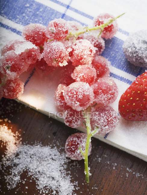 Sugared fresh redcurrant — Stock Photo