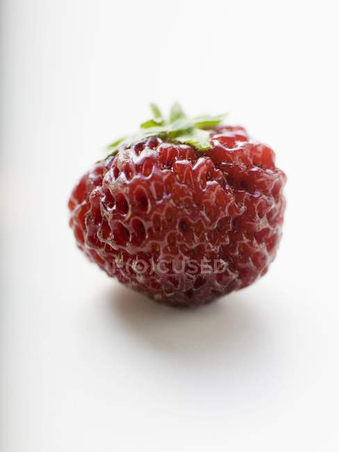 Frische reife rote Erdbeere — Stockfoto