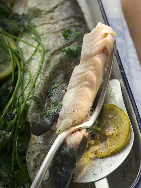 Roasted trout with herbs and piece on fork — Stock Photo