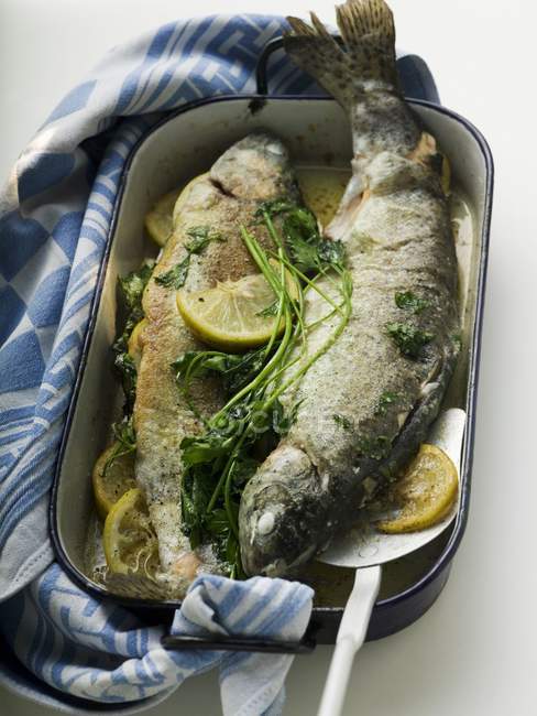 Elevated view of roast trout fish with lemon and herb in roasting tin — Stock Photo